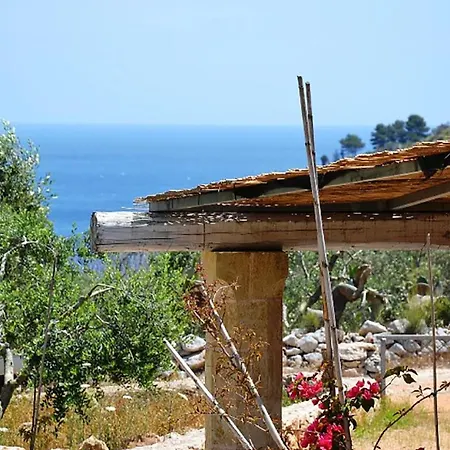 Villa Pajara Della Serenita